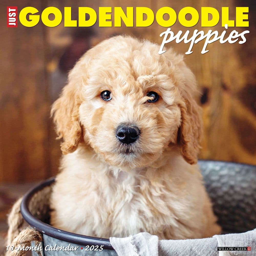 image Just Goldendoodle Puppies 2025 Wall Calendar Main Image