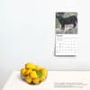 image Black Cats 2025 Mini Wall Calendar