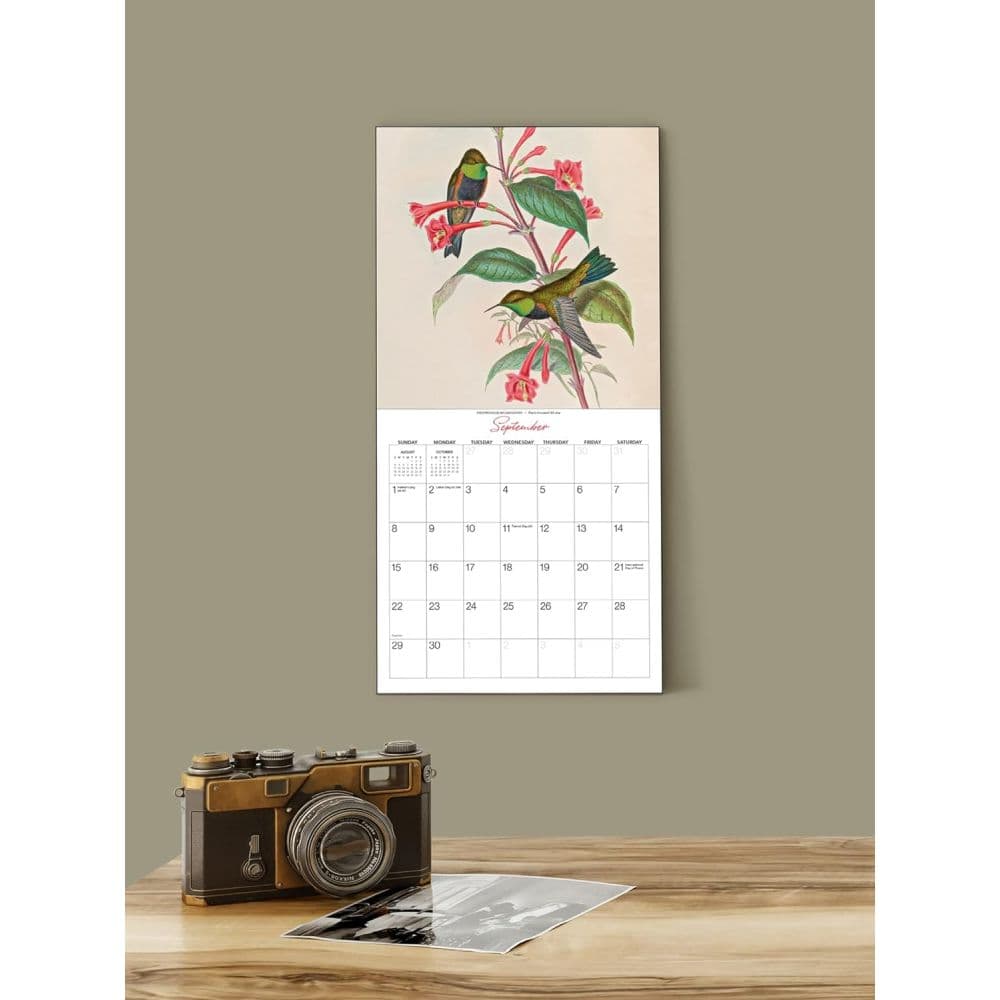 Goulds Hummingbirds 2024 Mini Wall Calendar