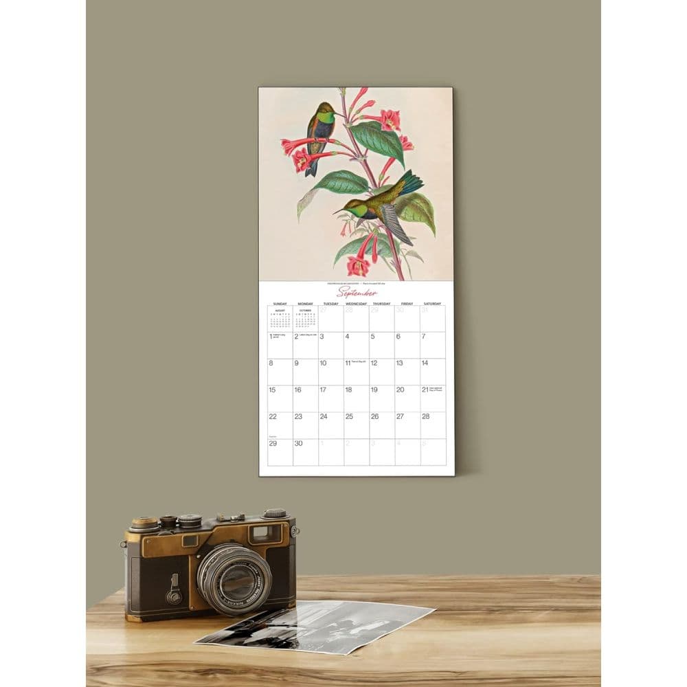 Goulds Hummingbirds 2024 Mini Wall Calendar Fifth Alternate Image width=&quot;1000&quot; height=&quot;1000&quot;