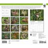 image Sloths WWF 2026 Wall Calendar First Alternate Image