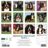 image Just Bernese Mountain Dogs 2026 Wall Calendar First Alternate Image