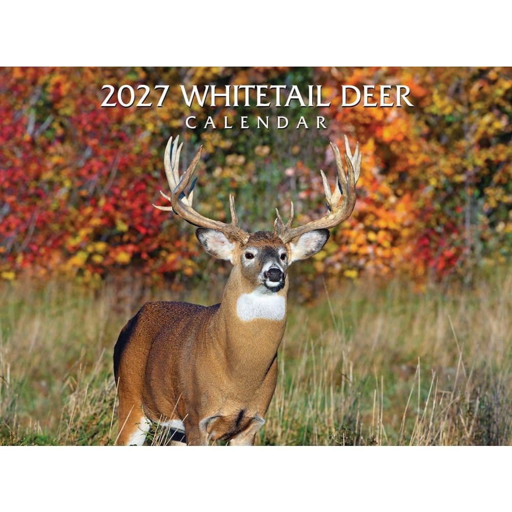 image Whitetail Deer 2027 Wall Calendar Main Product Image