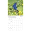 image Songbirds 2026 Wall Calendar Second Alternate Image