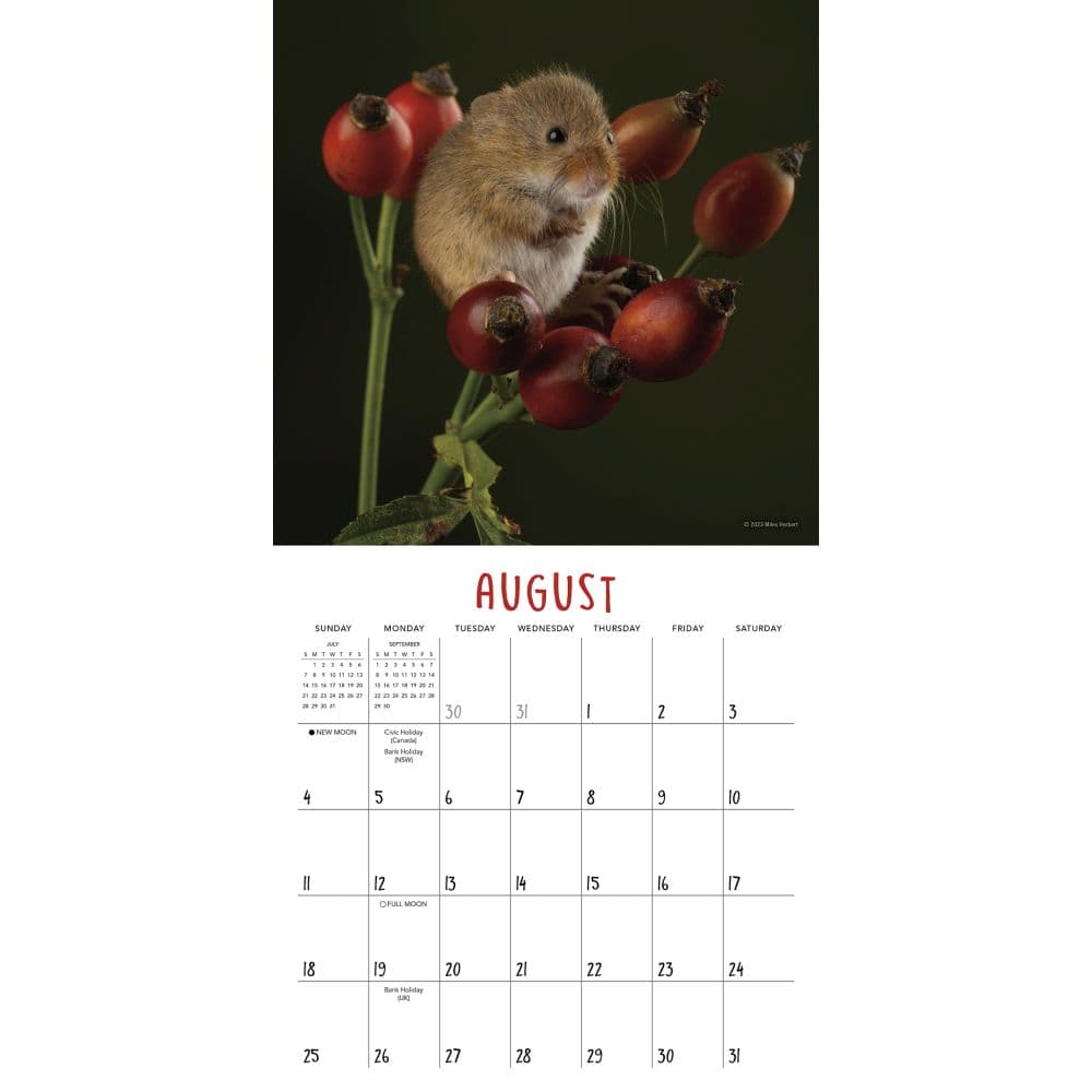 Blossom Buddies By Herbert 2024 Mini Wall Calendar Alternate Image 3