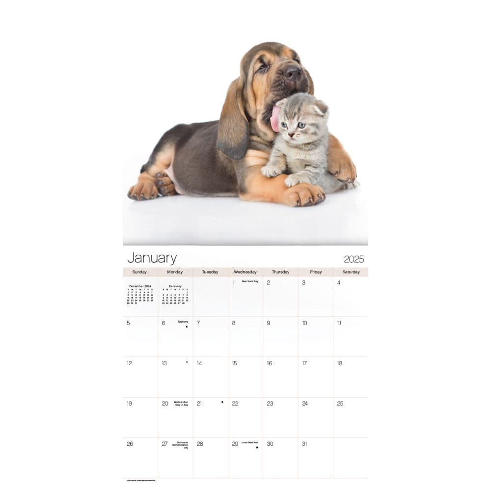 Buddies 2025 Mini Wall Calendar First Alternate Image width=&quot;1000&quot; height=&quot;1000&quot;