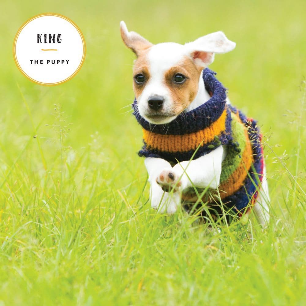 Baby Animals In Sweaters Wall Calendar - Calendars.com