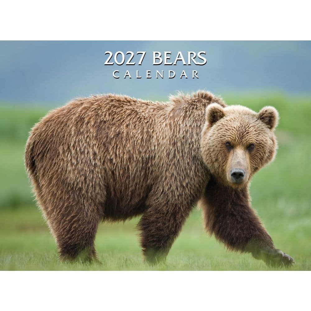 Bears 2027 Wall Calendar Main Product Image
