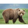 image Bears 2027 Wall Calendar Main Product Image