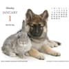 image Puppies and Friends 2024 Desk Calendar First Alternate Image width=&quot;1000&quot; height=&quot;1000&quot;