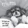 image Mutts 2024 Wall Calendar Main Product Image width=&quot;1000&quot; height=&quot;1000&quot;