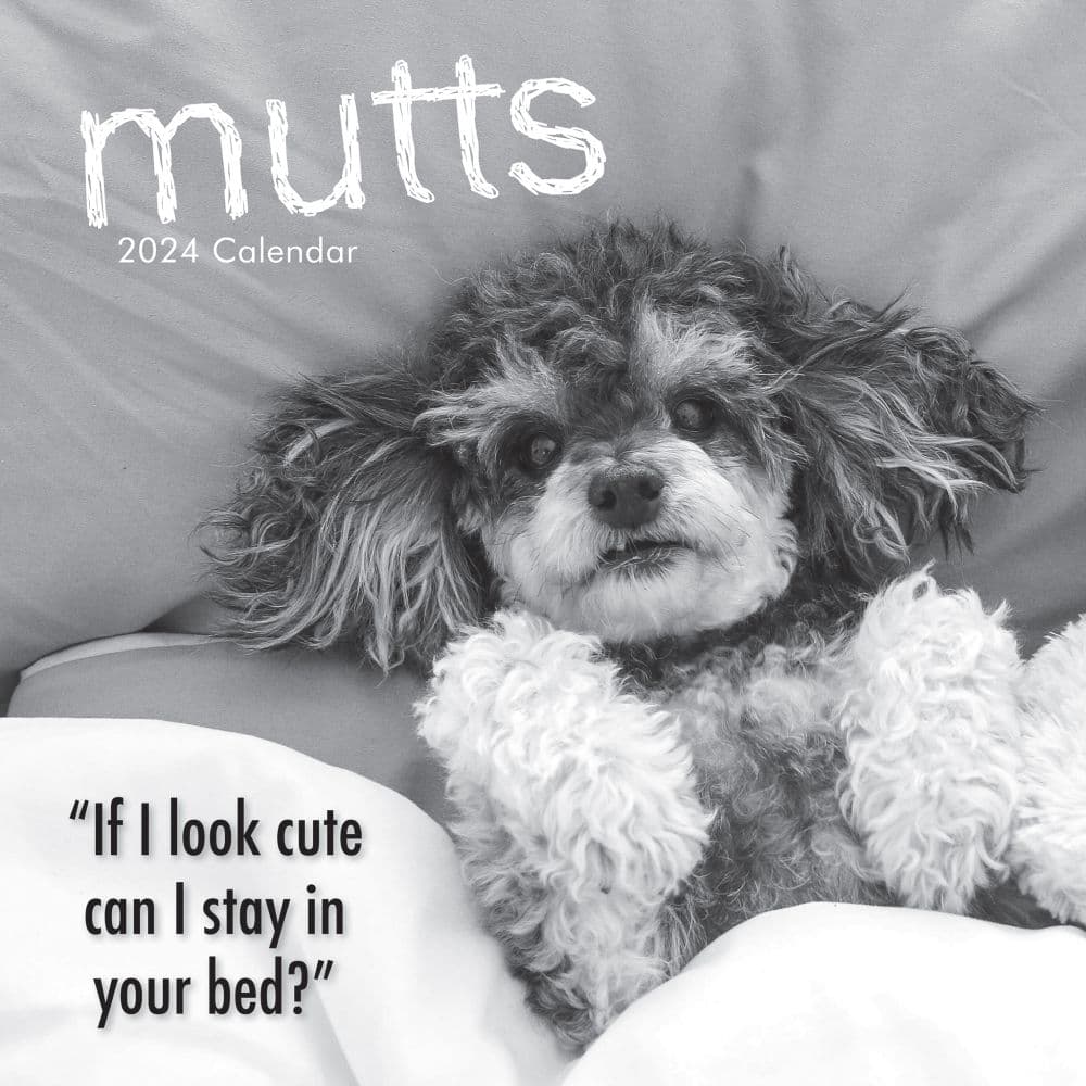Mutts 2024 Wall Calendar Calendars