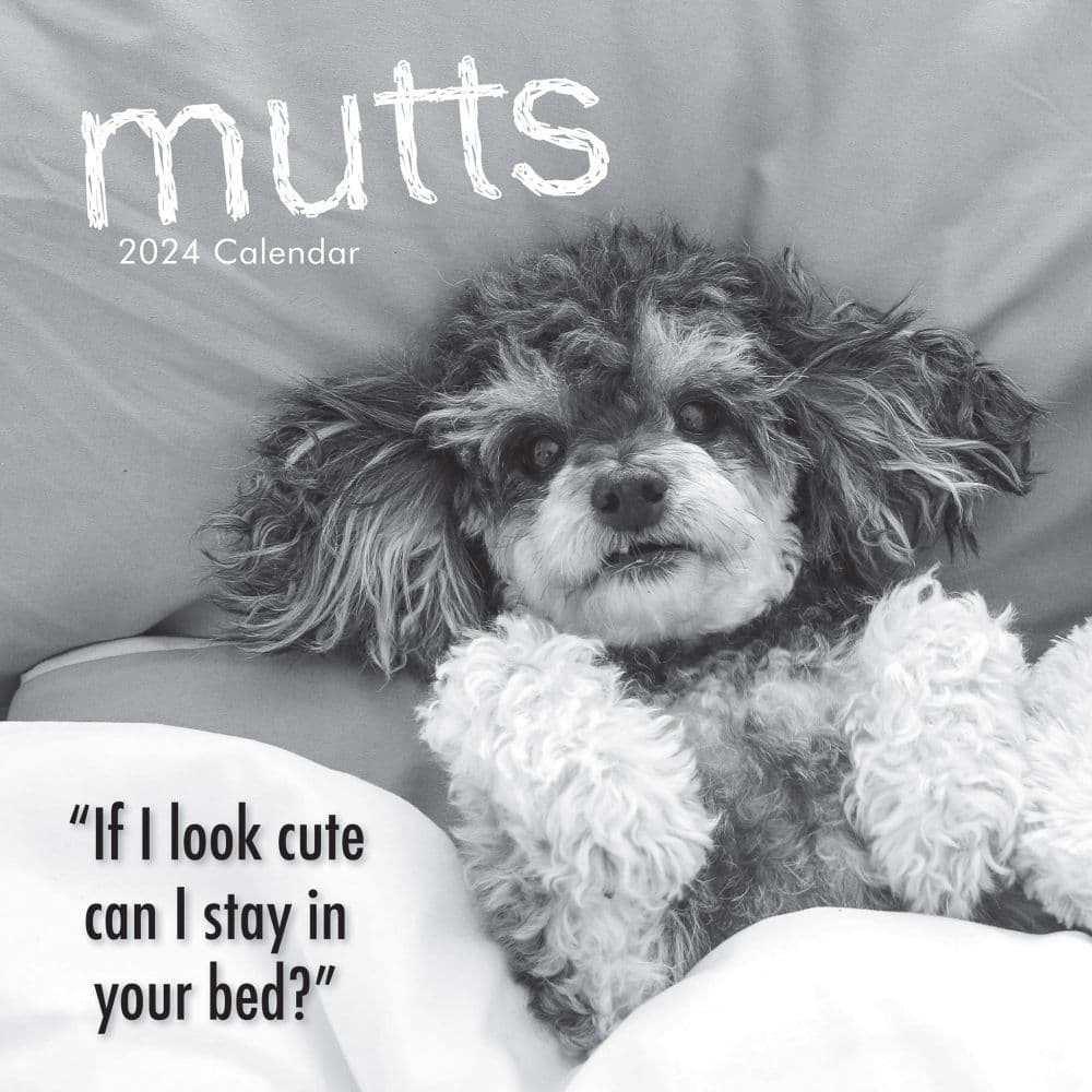Mutts 2024 Wall Calendar Main Product Image width=&quot;1000&quot; height=&quot;1000&quot;