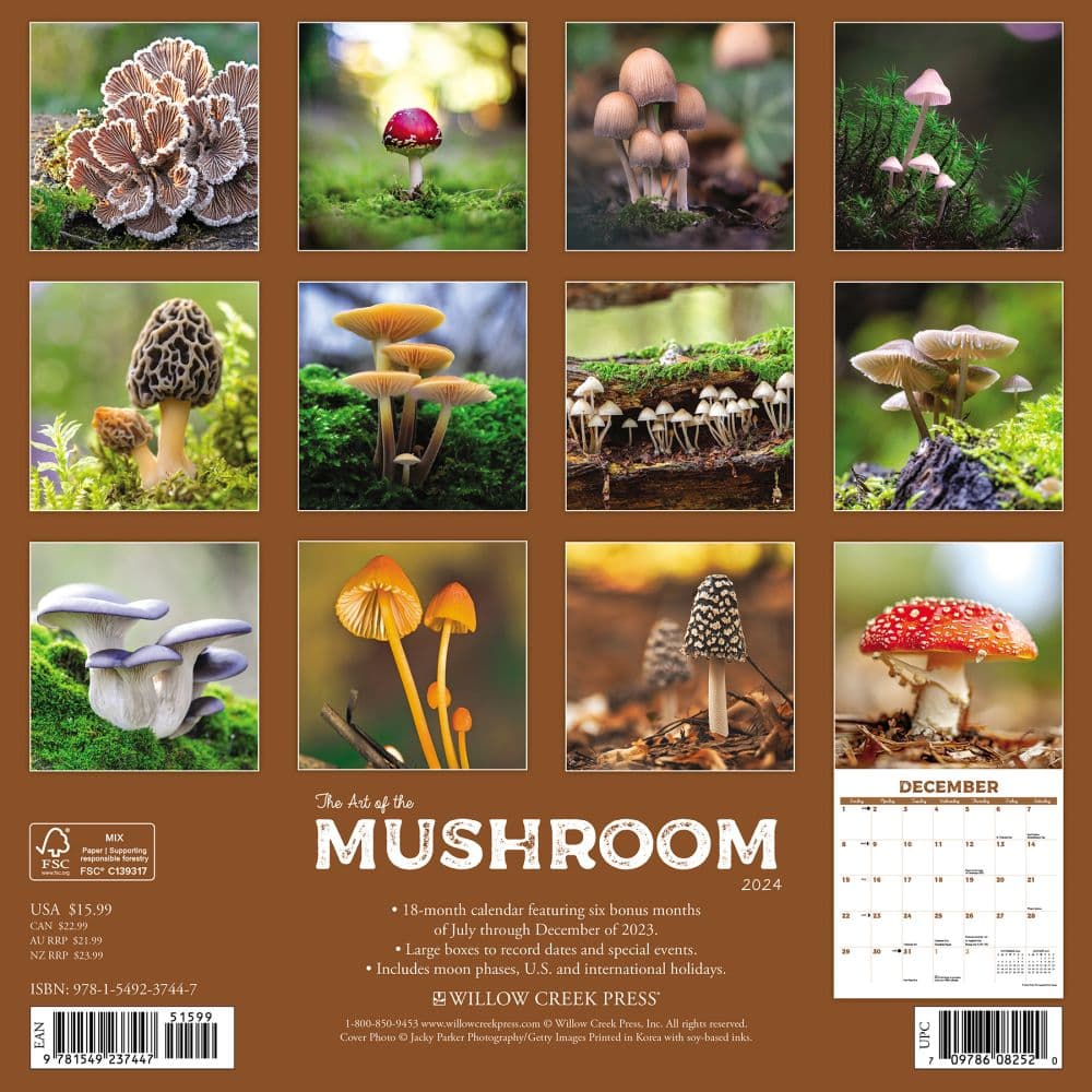 Mushroom Art 2024 Wall Calendar