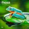 image Frogs 2024 Wall Calendar Main Product Image width=&quot;1000&quot; height=&quot;1000&quot;