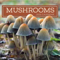 image Mushroom Photo 2026 Wall Calendar