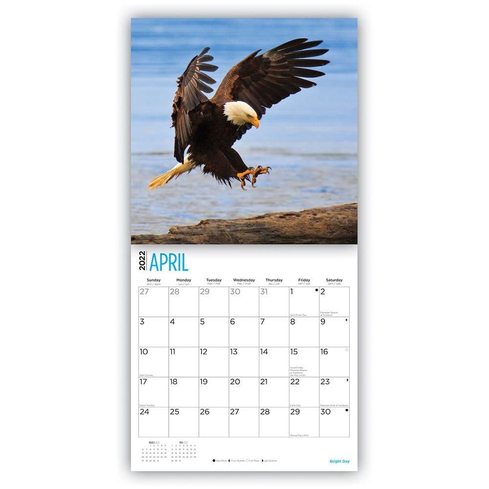 Bald Eagles 2022 Wall Calendar - Calendars.com