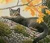 image Cats in the Country 2024 Desktop Wallpaper