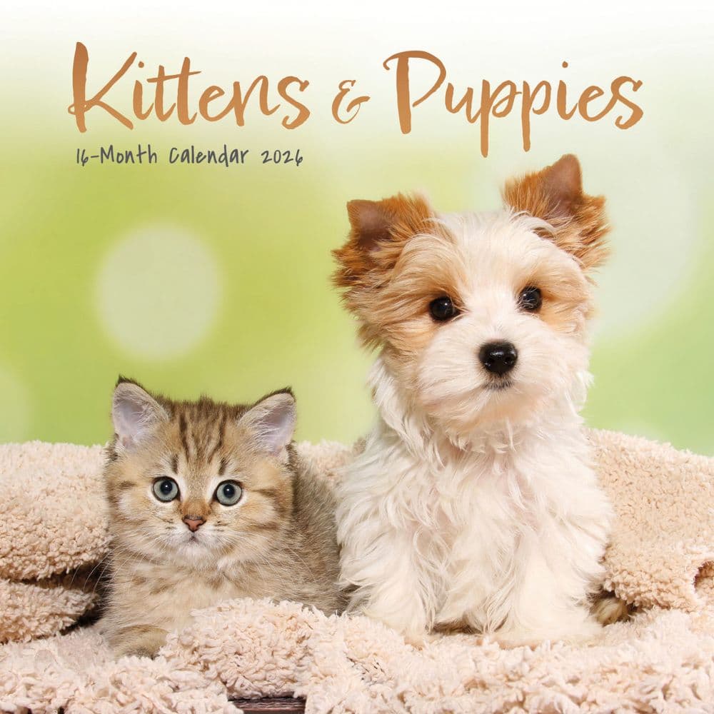 Kittens and Puppies 2026 Mini Wall Calendar  Main Image