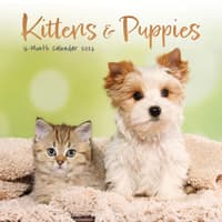 image Kittens and Puppies 2026 Mini Wall Calendar  Main Image