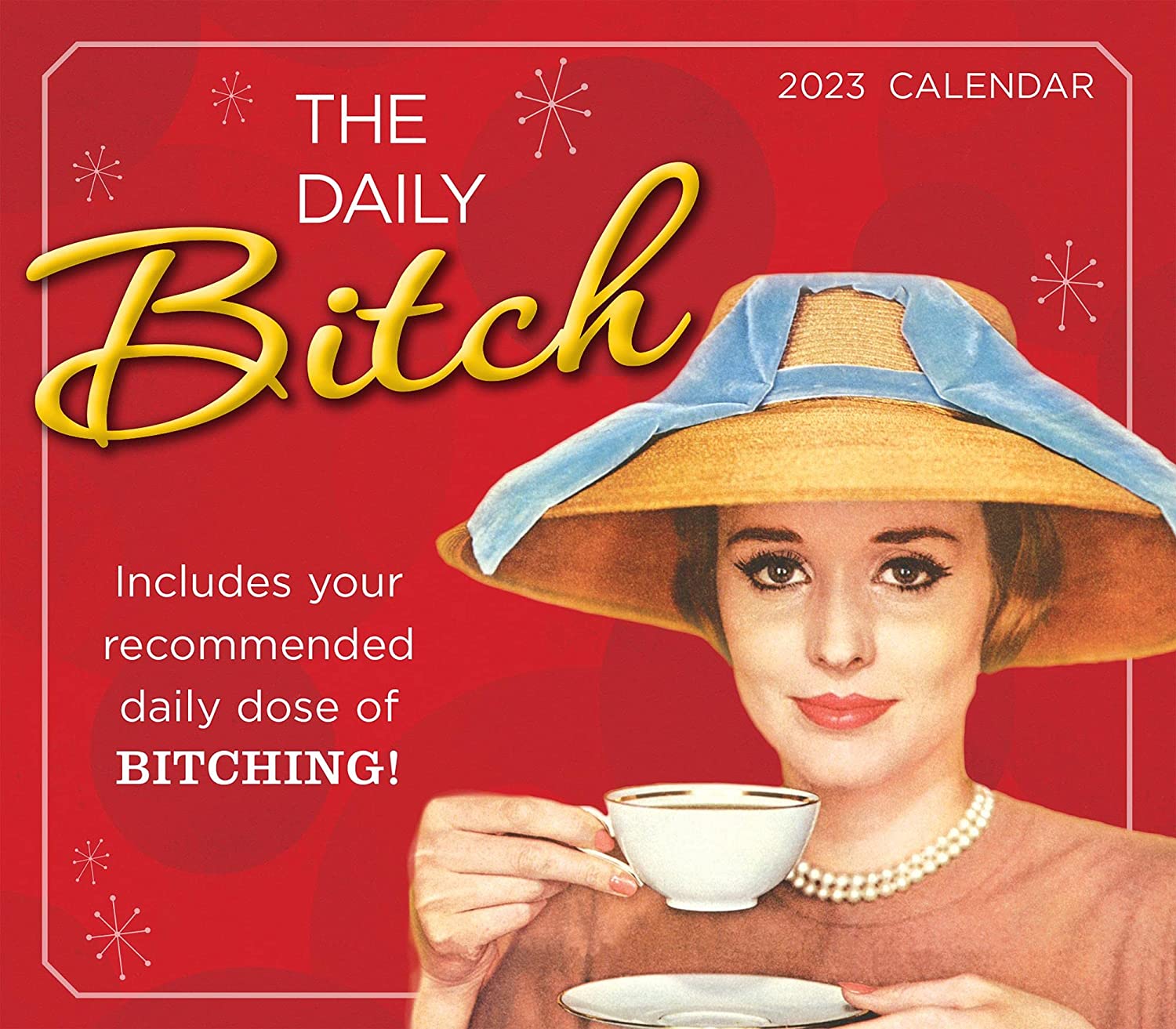 Sellers Publishing Daily Bitch 2023 Desk Calendar