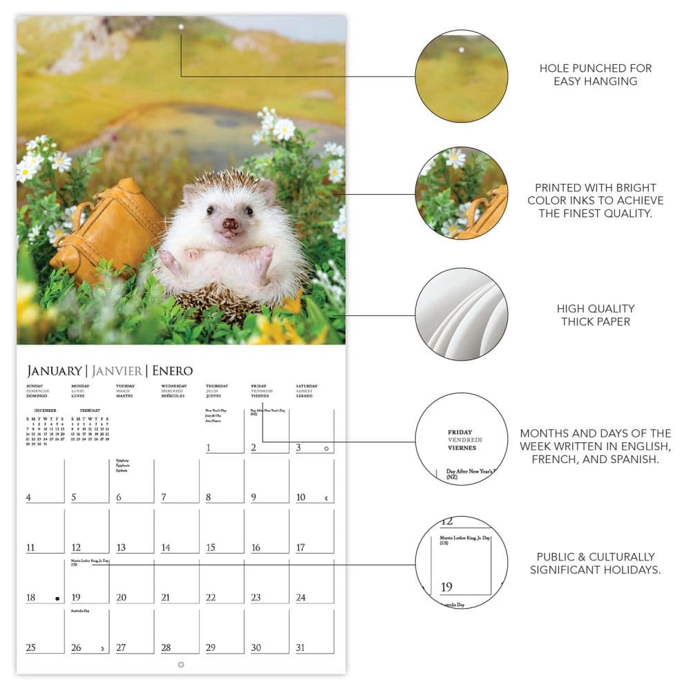 Happiest Hedgehogs 2026 Wall Calendar Second Alternate Image