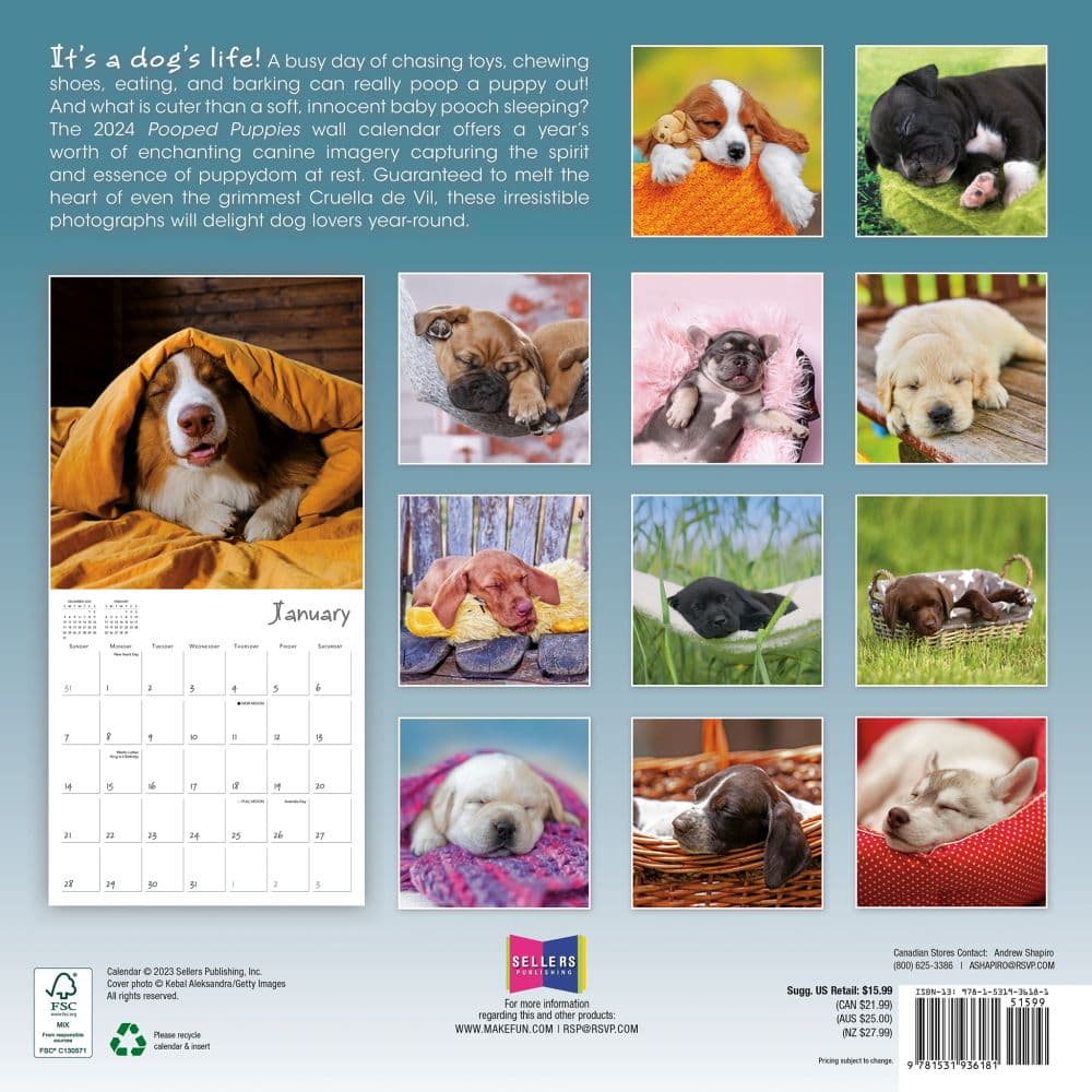 Pooped Puppies 2024 Wall Calendar