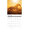 image What Horses Teach Us 2026 Wall Calendar Second Alternate Image