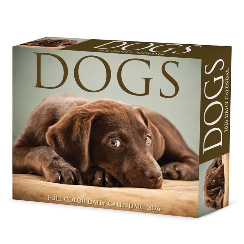 image Dogs 2026 Desk Calendar Main Product Image