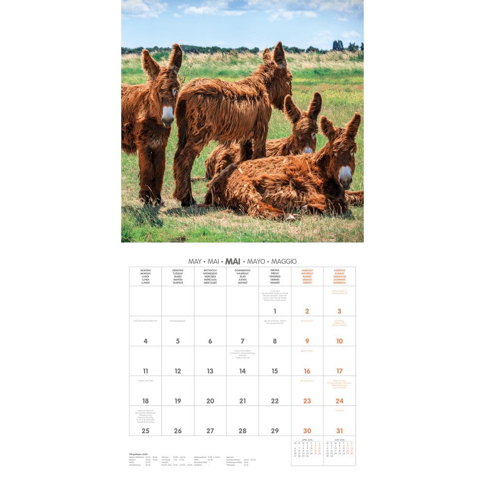 Donkeys 2026 Wall Calendar Third Alternate Image