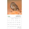 image Audubon Little Owls 2025 Mini Wall Calendar Third Alternate Image width="1000" height="1000"