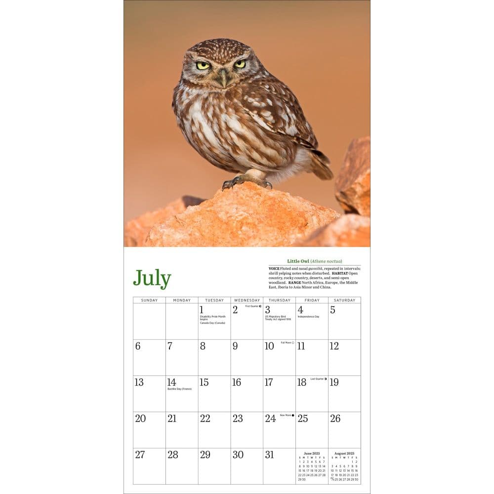 Audubon Little Owls 2025 Mini Wall Calendar