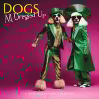 image Dogs All Dressed Up 2026 Wall Calendar Main Image