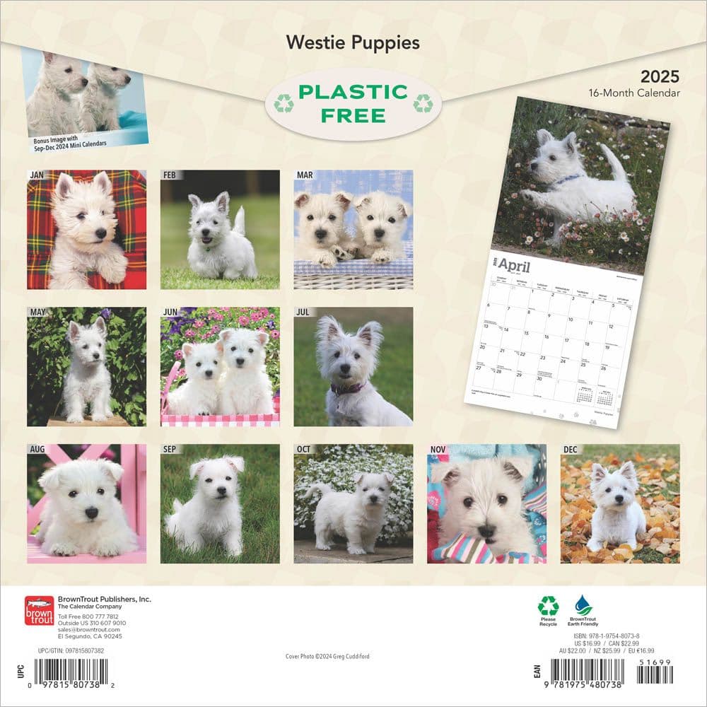 West Highland White Terrier Puppies 2025 Wall Calendar First Alternate Image