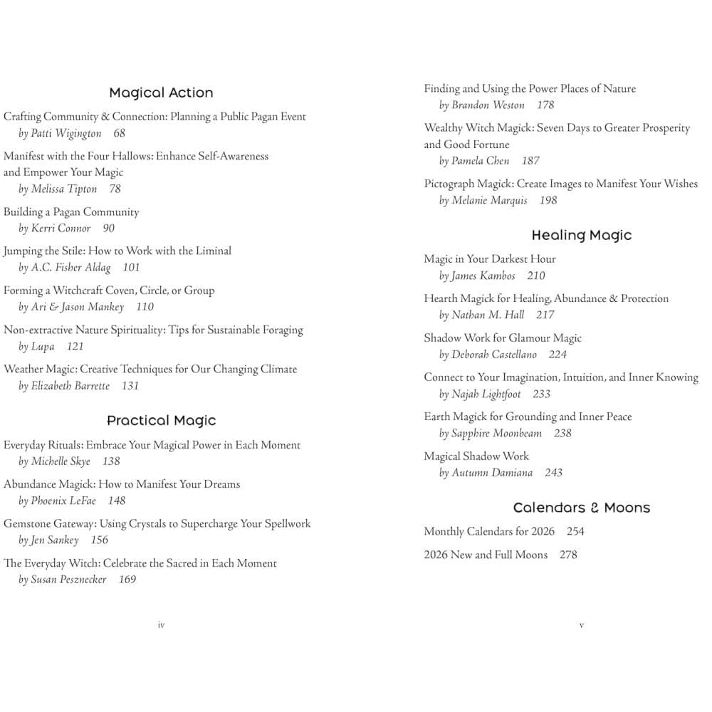 Witches Companion 2026 Planner Fourth Alternate Image