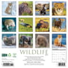 image Wildlife 2025 Wall Calendar
