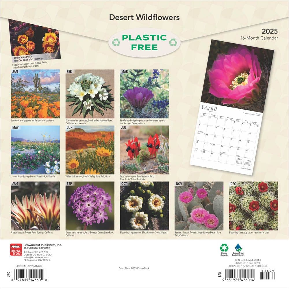 Desert Wildflowers 2025 Wall Calendar First Alternate Image