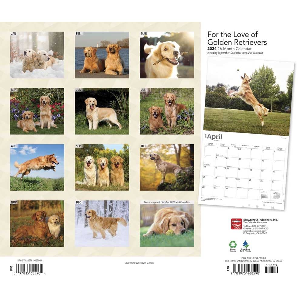 Golden Retrievers Deluxe 2024 Wall Calendar