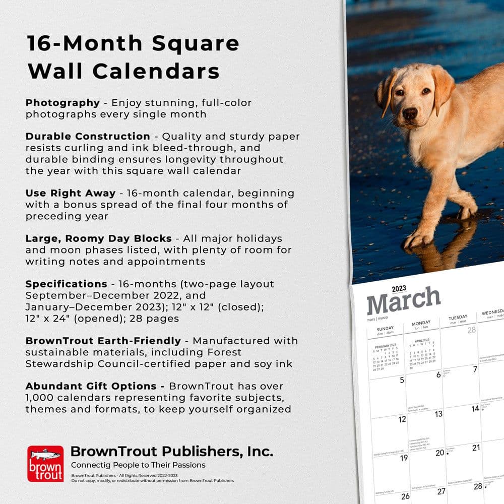Yellow Lab Retriever Puppies Calendar - Calendars.com