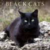 image Black Cats 2024 Wall Calendar Main Product Image width=&quot;1000&quot; height=&quot;1000&quot;