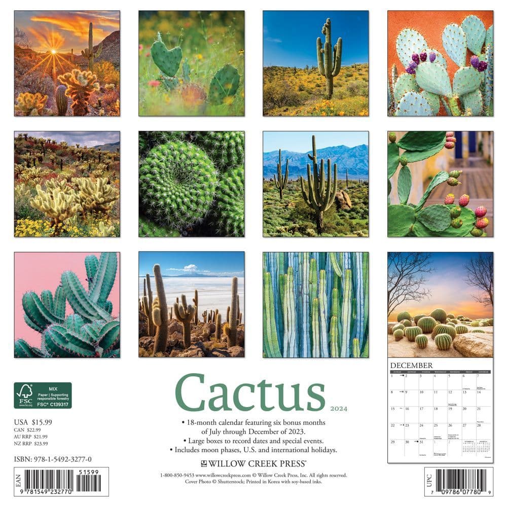 Cactus 2024 Wall Calendar