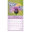 image Butterflies Special Value 2026 Wall Calendar Second Alternate Image
