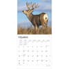 image Monster Bucks 2025 Wall Calendar Second Alternate Image