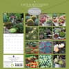 image Cacti and Succulents 2025 Wall Calendar