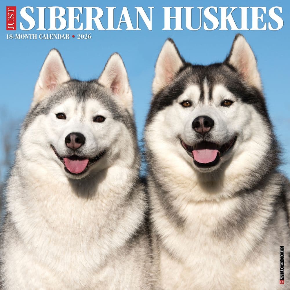Just Siberian Huskies 2026 Wall Calendar Main Image