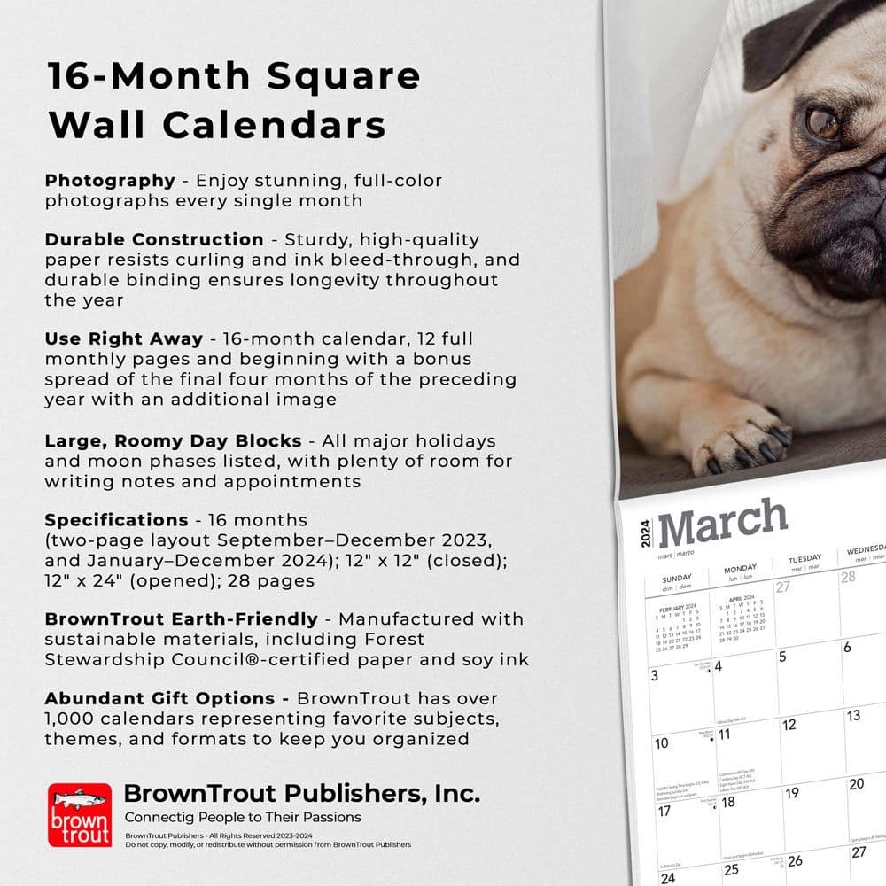Pugs 2024 Wall Calendar