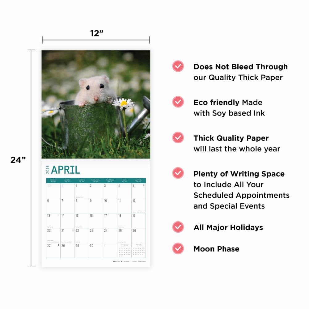 Hamsters 2025 Wall Calendar Eighth Alternate Image