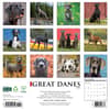 image Just Great Danes 2026 Wall Calendar First Alternate Image