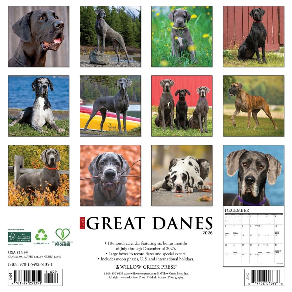 Just Great Danes 2026 Wall Calendar First Alternate Image