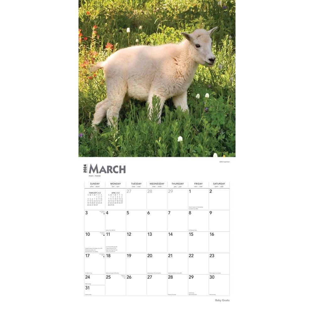 Baby Goats 2025 Wall Calendar